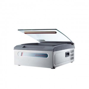 Table Top Vacuum Packaging Machine DZ-310H