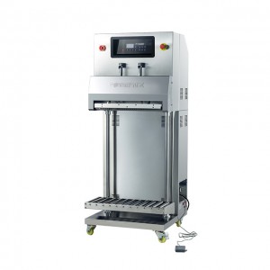 External Vacuum Packaging Machine DZ-600L