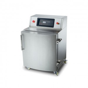 Vertical Chamber Vacuum Packaging DZL-600