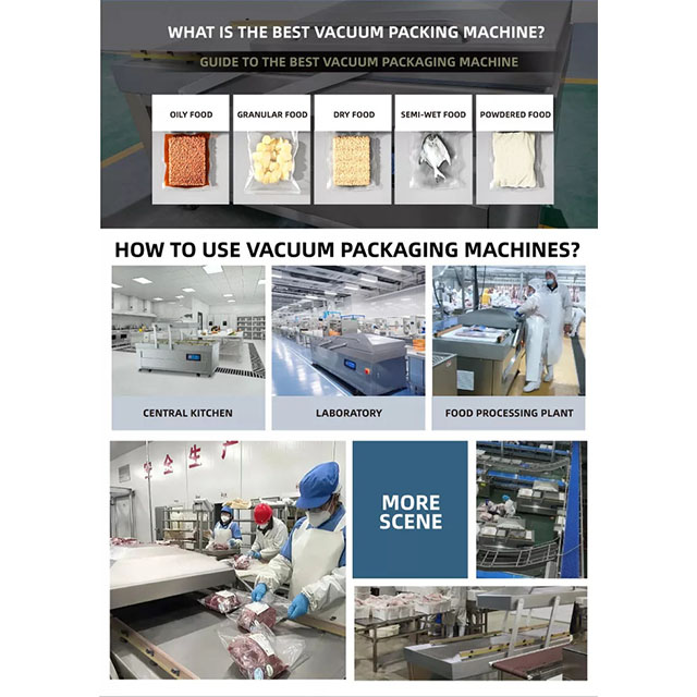 Double Chamber Vacuum Packaging Machine DZQ-850/2SA 5500 Watt