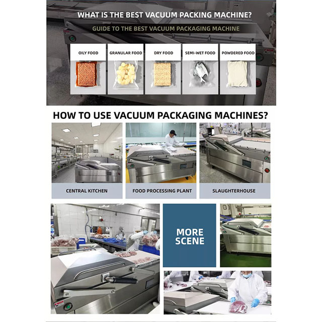 Double Chamber Vacuum Packaging Machine with Pneumatic DZQ-850/2SE
