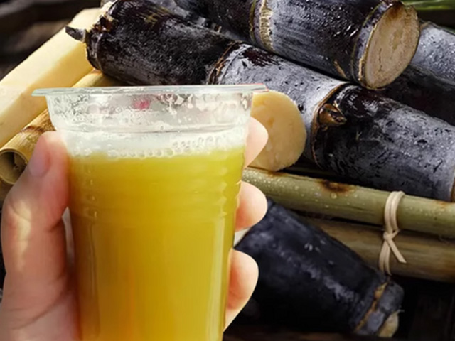 Sugar Cane Juicer SCP-4RS